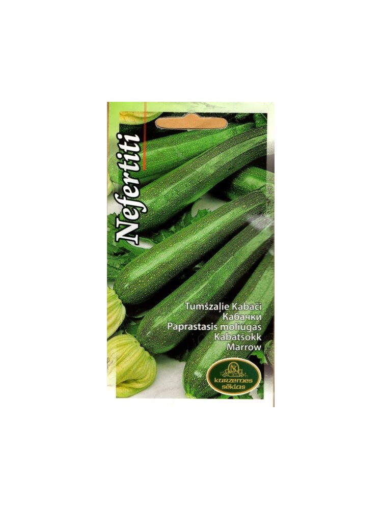 Zucchini 'Nefertiti' 1 g