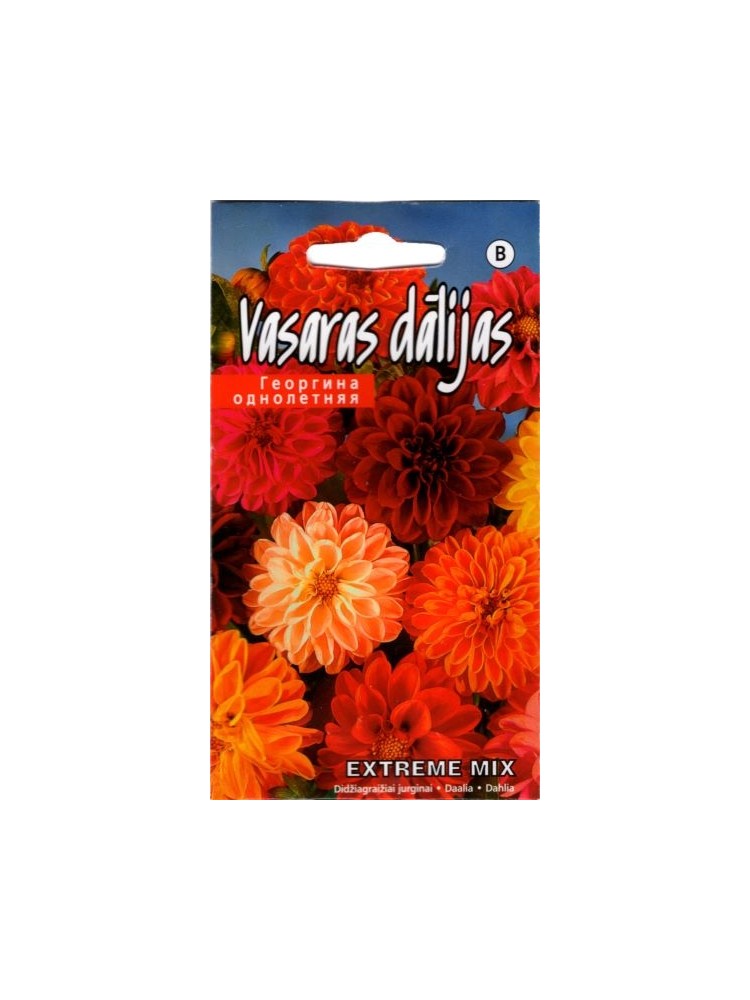 Dahlia 'Extreme' Mix, 0,2 g