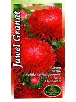Hiina aedaster 'Juwel Granat' 0,4 g