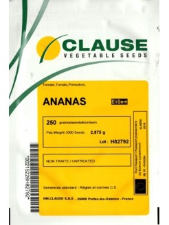 Tomate 'Ananas' 250 graines