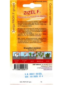 Gherkin 'Zizel' H, 20 seeds
