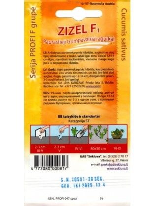 Cornichon 'Zizel' H, 20 semences