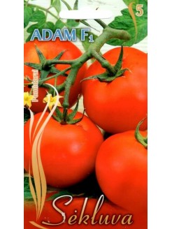 Pomodoro 'Adam' H, 15 semi
