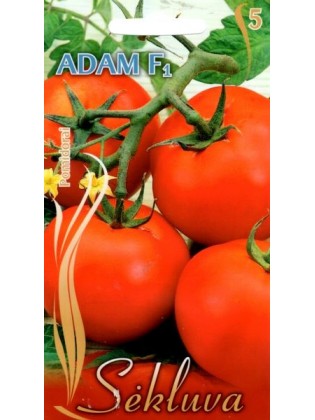 Tomato 'Adam' H, 15 seeds