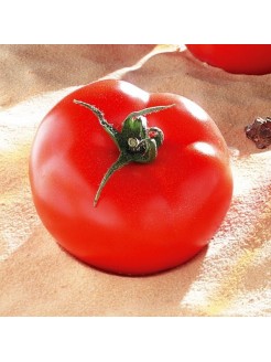 Harilik tomat 'Brooklyn' H,  100 seemet