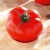 Tomato 'Brooklyn' H, 100 seeds