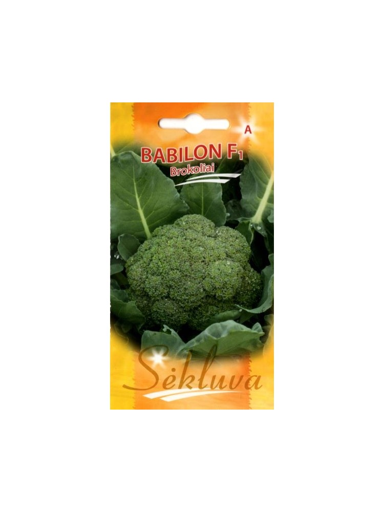 Broccoli 'Babilon' H, 25 seeds