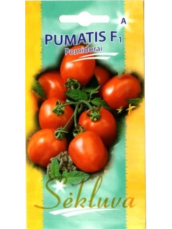 Tomato 'Pumatis' H, 15 seeds