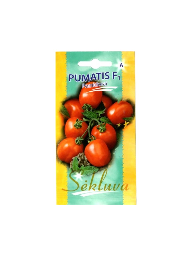 Tomate 'Pumatis' H, 15 graines