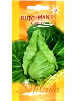 Baltie galviņkāposti 'Dutchman' H, 20 sēklas