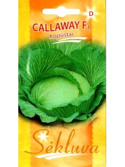 White cabbage 'Callaway' H, 20 seeds