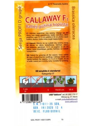 Chou cabus blanc 'Callaway' H, 20 graines
