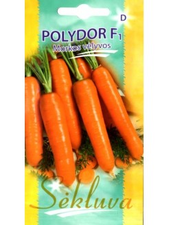 Carrot 'Polydor' H, 500 seeds