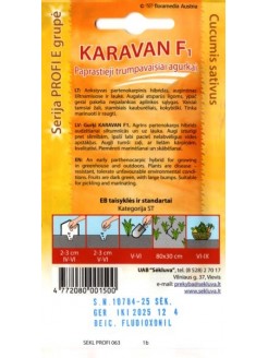 Огурец посевной 'Karavan' H, 25 семян