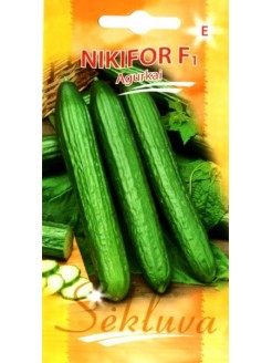 Cucumber 'Nikifor' H, 5 seeds