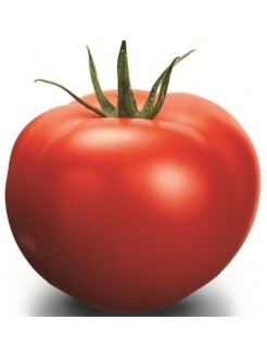 Tomato 'Delfine' H, 100 seeds