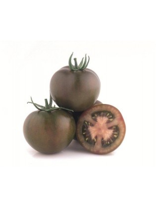 Pomidorai valgomieji 'Kumato olmeca' H, 5 sėklos