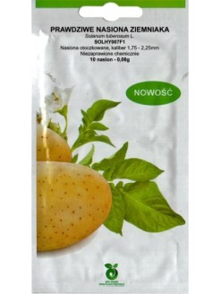 Картофель 'Solhy007' F1, 10 семян