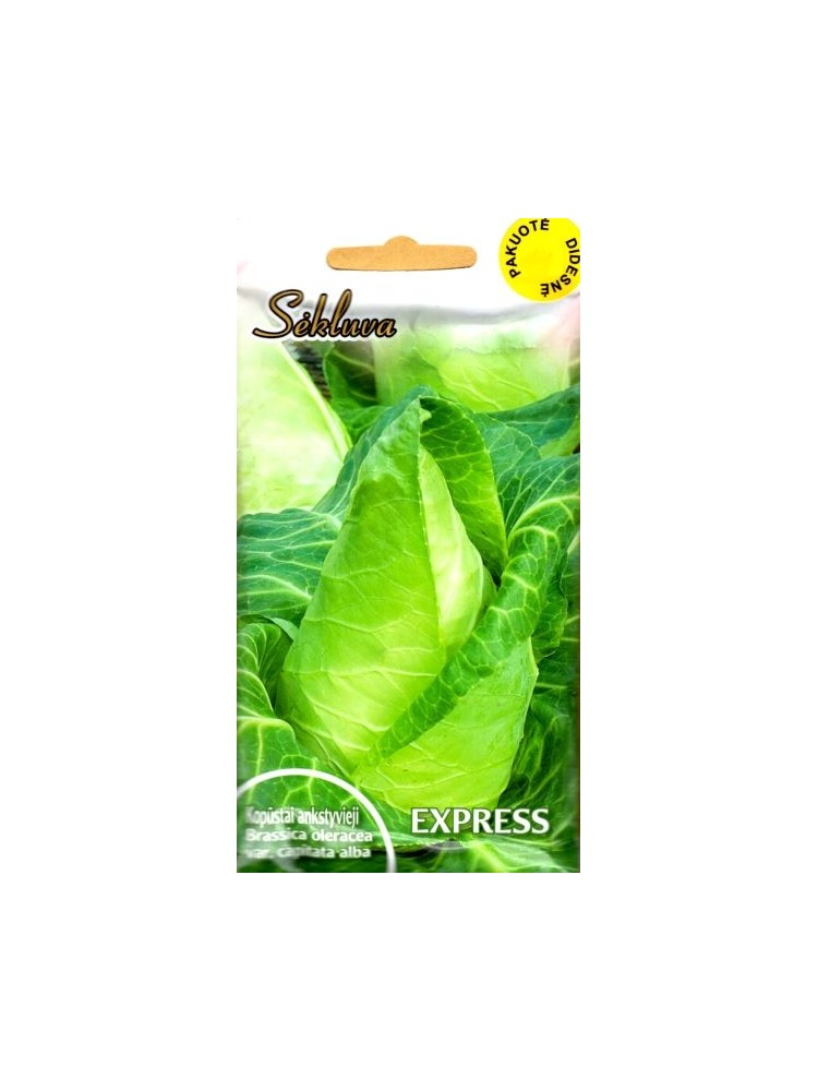 White cabbage 'Express' 50 g