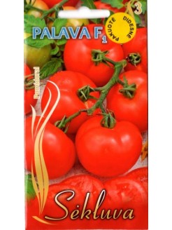 Harilik tomat 'Palava' H, 2 g