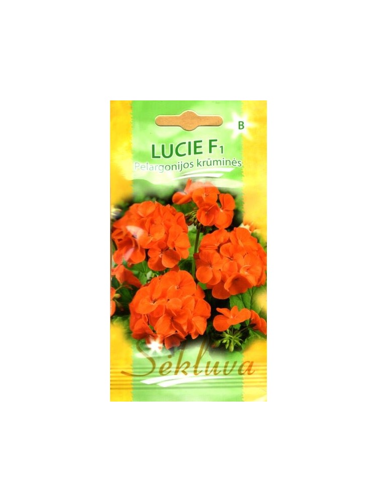Пеларгония зональная 'Lucie' H, 5 семян