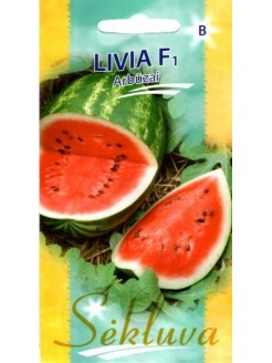 Watermelon 'Livia' H, 5 seeds