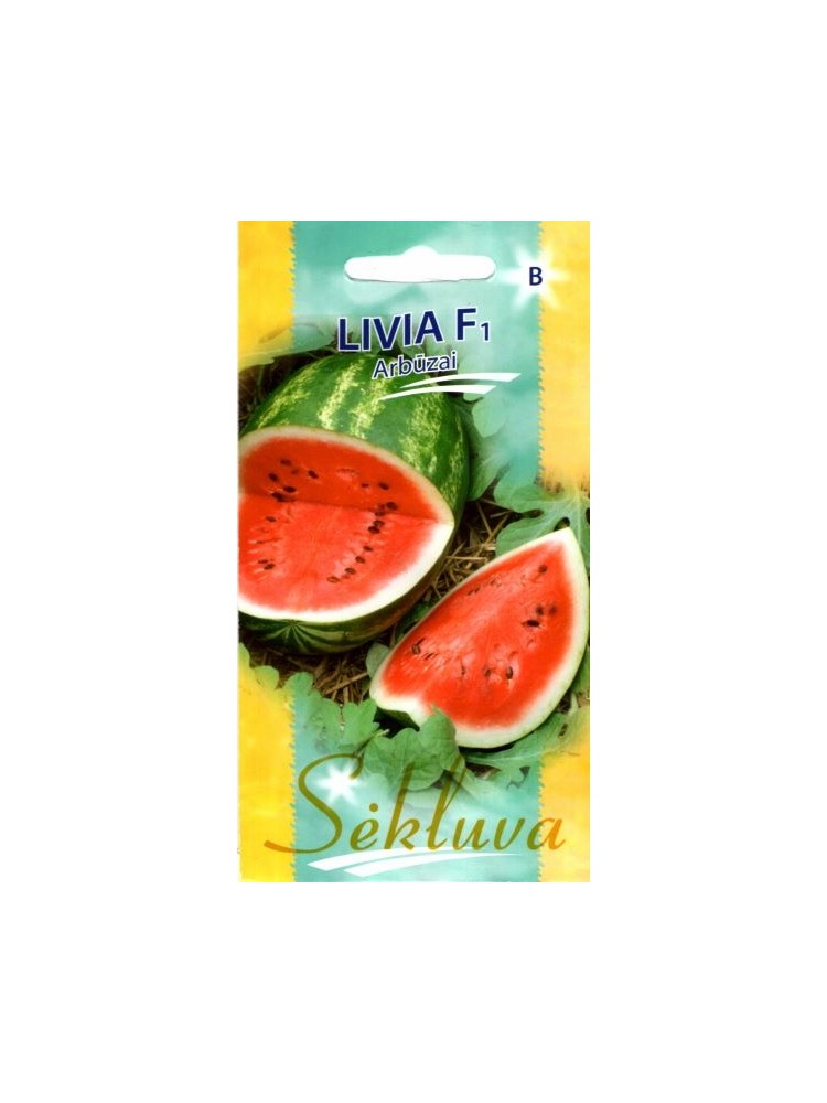 Watermelon 'Livia' H, 5 seeds