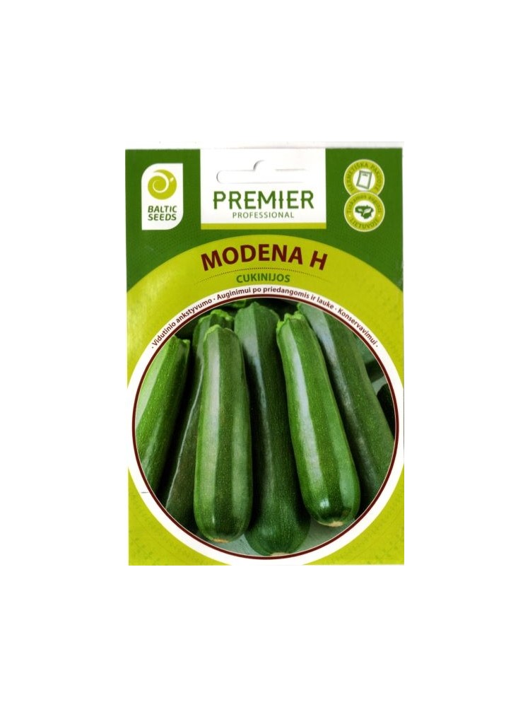 Zucchini 'Modena' H, 5 Samen