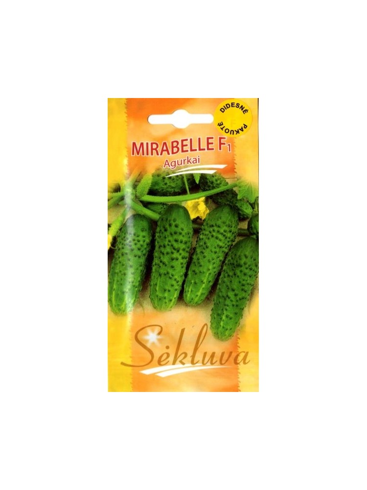 Cornichon 'Mirabelle' H, 100 graines