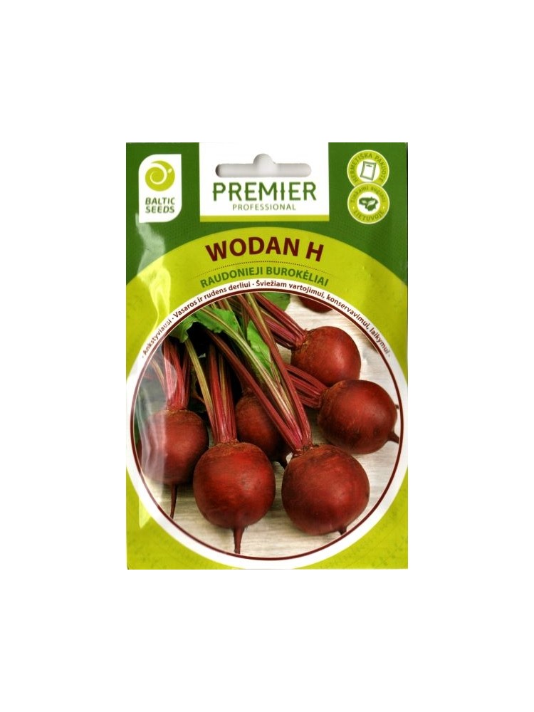 Beetroot 'Wodan' H, 200 seeds