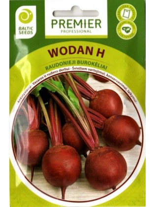 Beetroot 'Wodan' H, 200 seeds