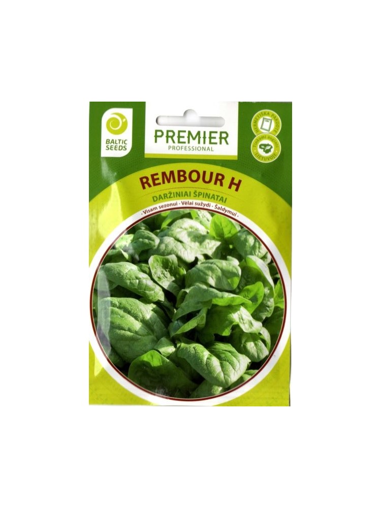 Spinach 'Rembour' H, 300 seeds