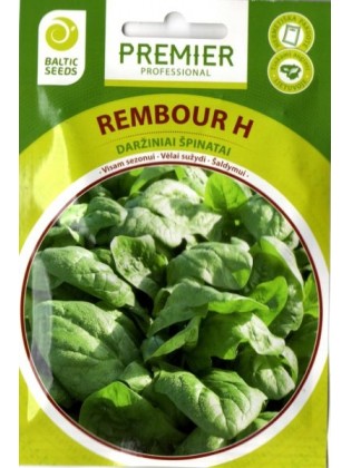 Spinach 'Rembour' H, 300 seeds