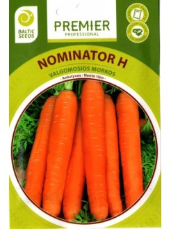 Carrot 'Nominator' H, 600 semences