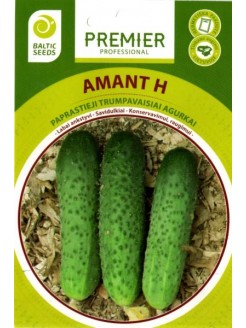 Огурец посевной 'Amant' H, 20 семян