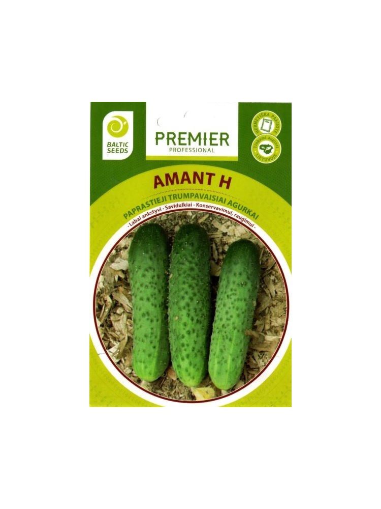 Gherkin 'Amant' H, 20 seeds