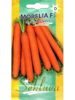 Karotte 'Morelia' H, 600 Samen