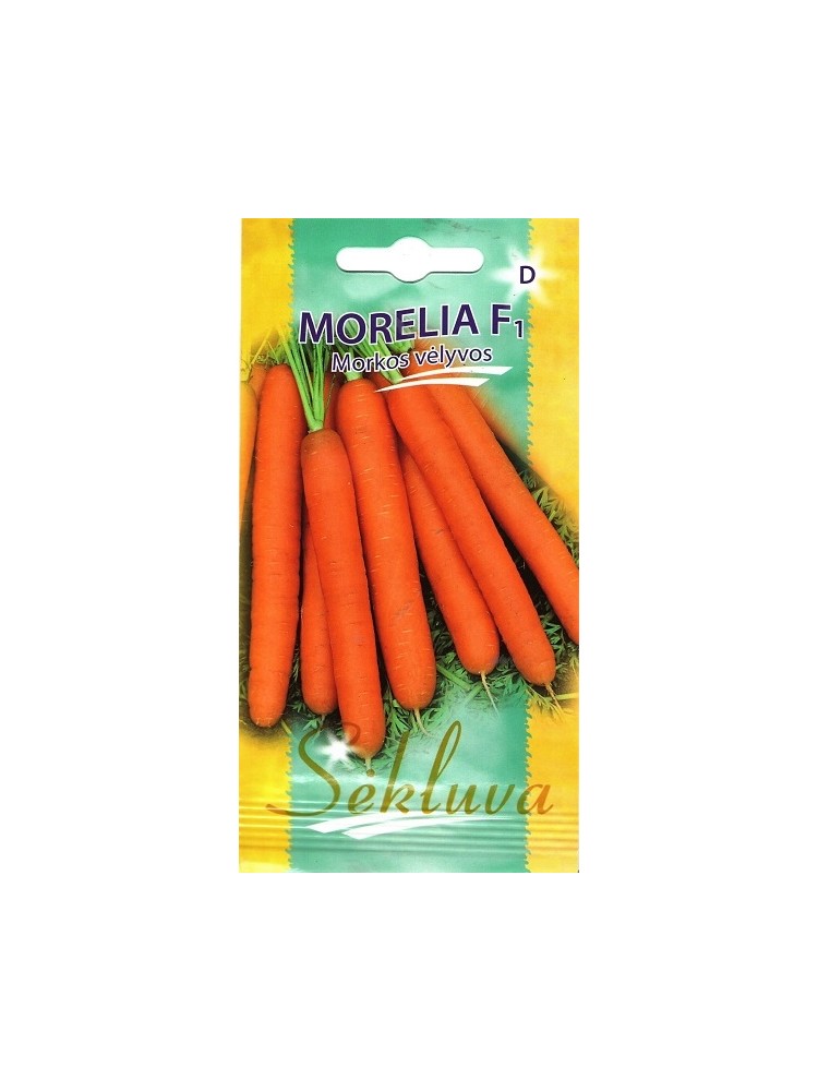 Carrot 'Morelia' H, 600 seeds