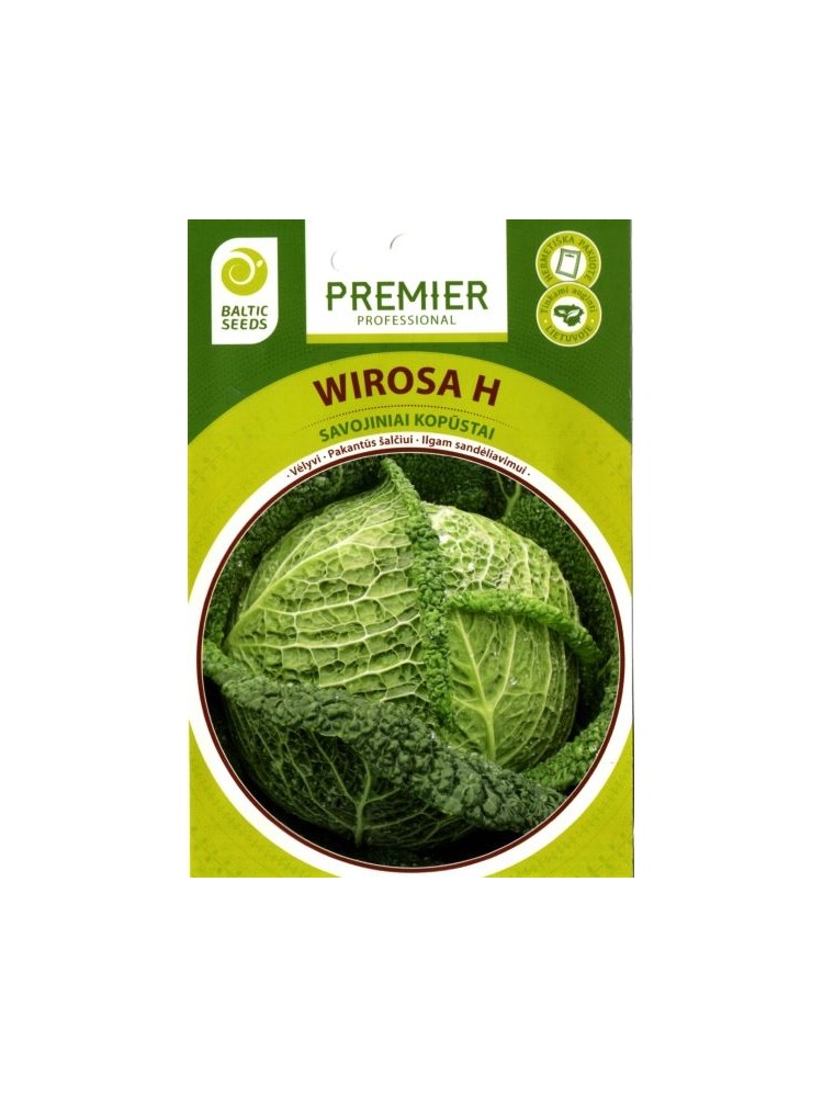 Savoy cabbage 'Wirosa' H, 20 seeds