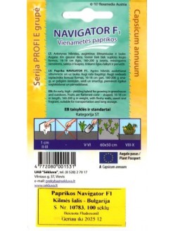 Harilik paprika 'Navigator' H, 100 seemet