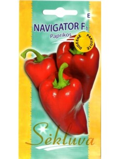 Harilik paprika 'Navigator' H, 100 seemet