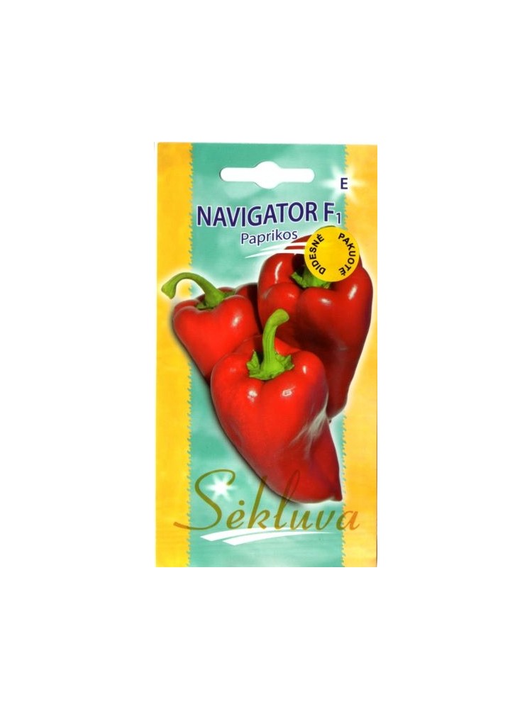 Sweet pepper 'Navigator' H, 100 seeds