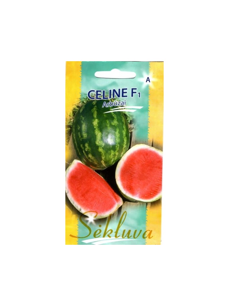 Watermelon 'Livia' H, 5 seeds