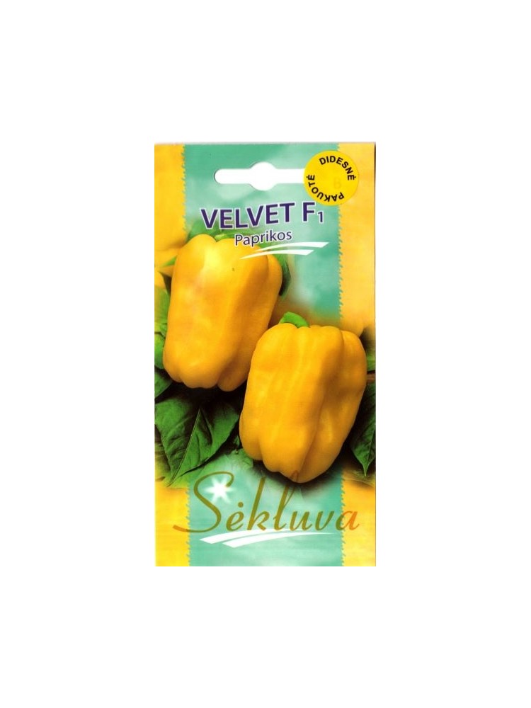 Paprika vienametė 'Velvet' H