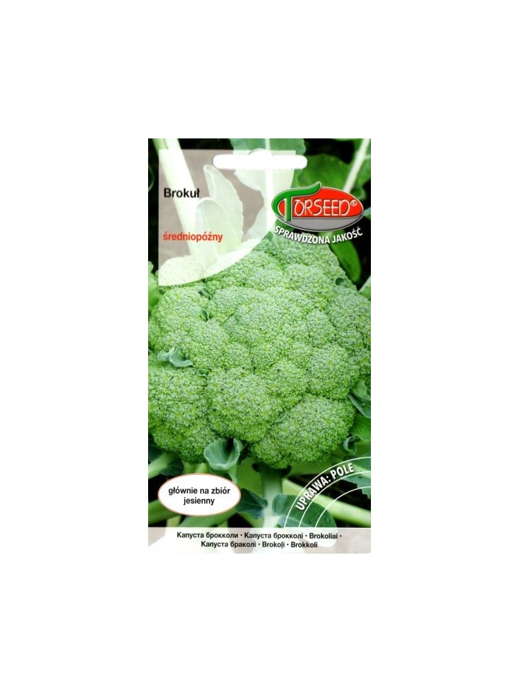Cavolo broccolo 'Cezar' 1 g