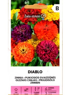 Common zinnia 'Diablo', Mix, 1 g