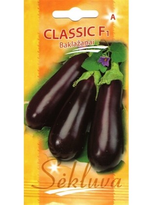 Eggplant 'Classic' H, 0,1 g