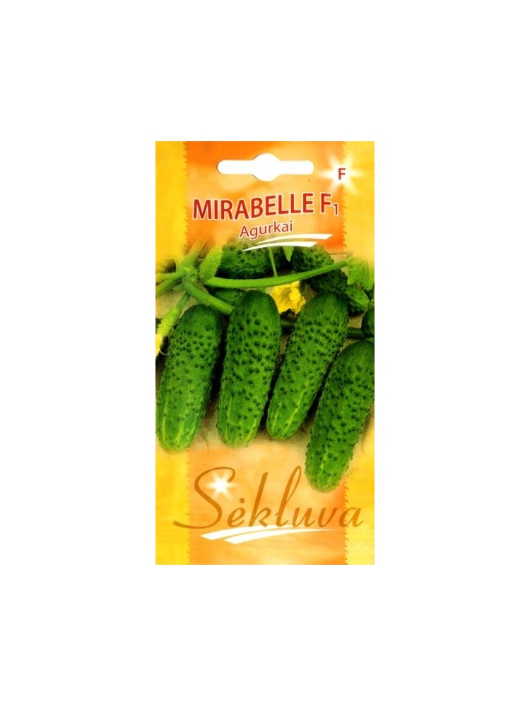 Cornichon 'Mirabelle' H, 15 semences