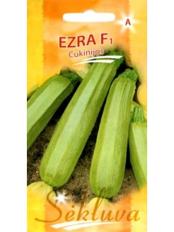 Cukinija 'Ezra' H, 6 sėklos
