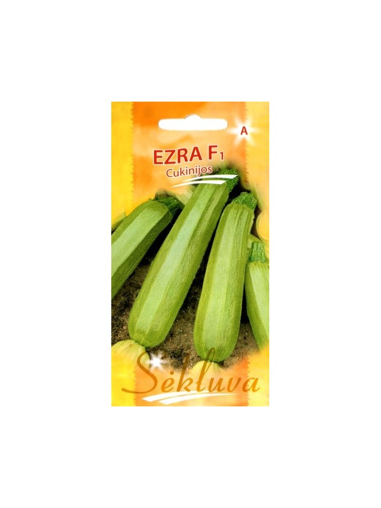 Zucchini 'Ezra' H, 6 Samen
